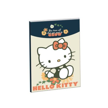 Hello Kitty Stay Sunny B/5 vonalas füzet 40 lapos